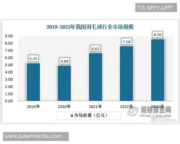 武汉羽毛球队如何通过节奏革新引领全国羽坛新风潮 武汉羽毛球队如何通过节奏革新引领全国羽坛新风潮