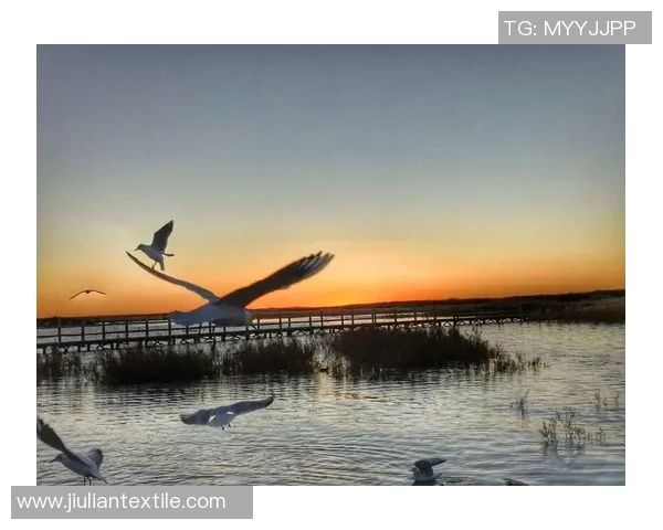 滑板人生的深度对话：杨军与梦想的追逐与坚持